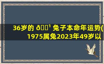 36岁的 🌹 兔子本命年运势(1975属兔2023年49岁以后运气)
